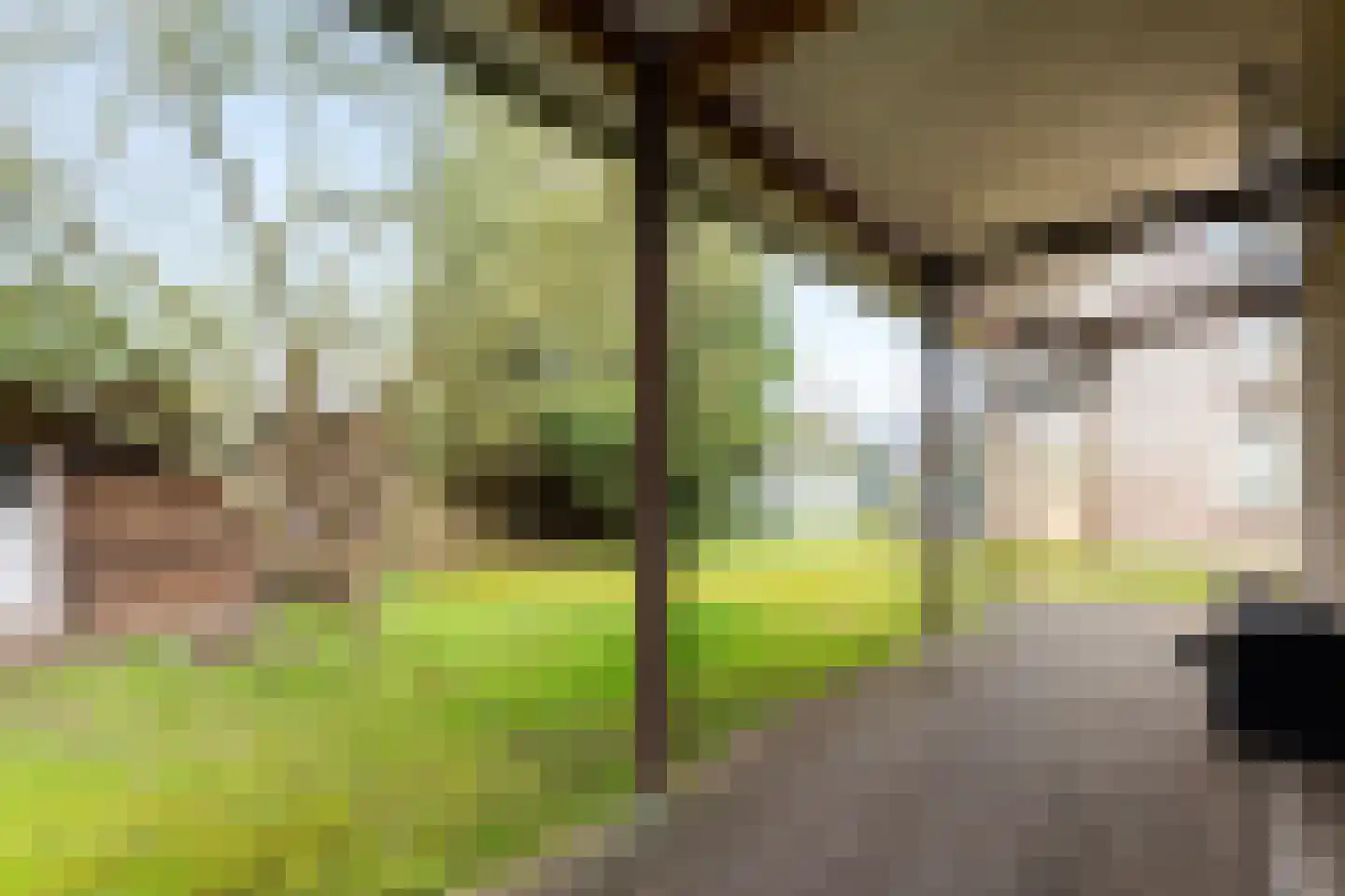 Melkweg 2 122 Beek thumbnail 21