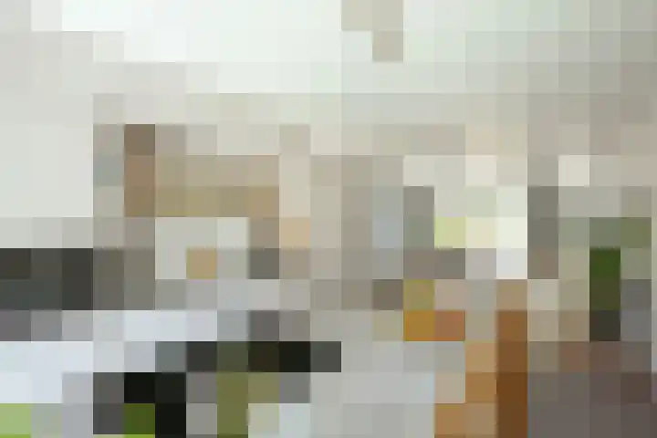 Melkweg 20 Amsterdam thumbnail 9