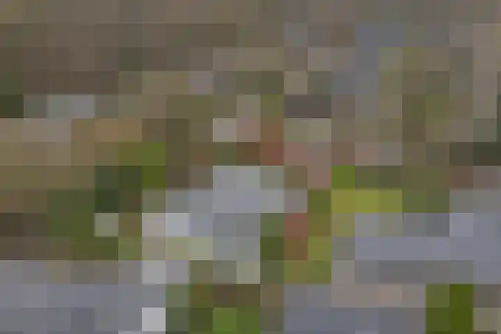 Melkweg 22 Dronten thumbnail 33