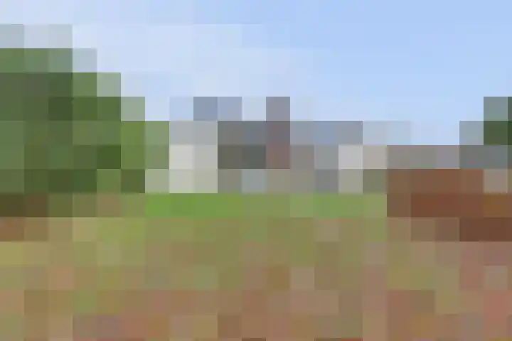 Melkweg 22 Dronten thumbnail 35