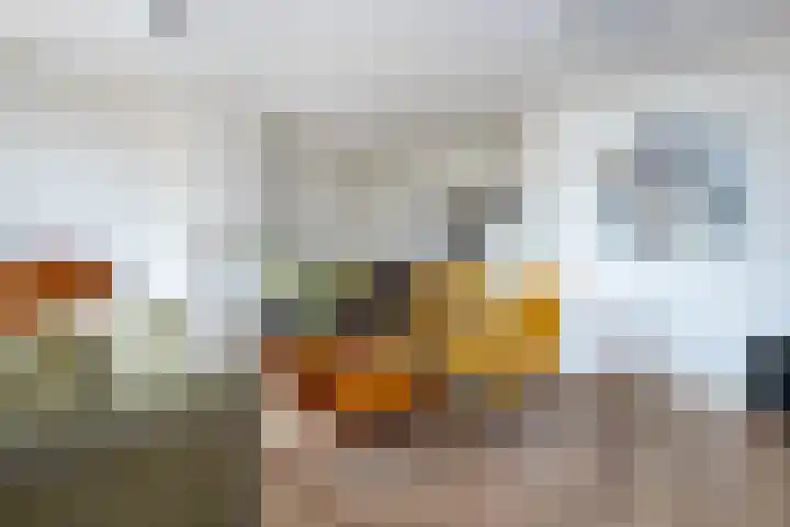 Melkweg 24 Oude-Tonge thumbnail 12