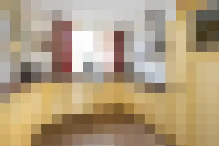 Melkweg 24 Oude-Tonge thumbnail 13