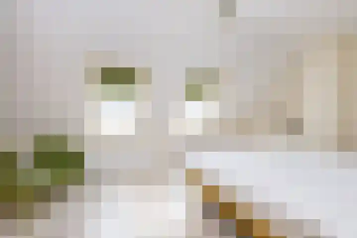 Melkweg 24 Oude-Tonge thumbnail 18