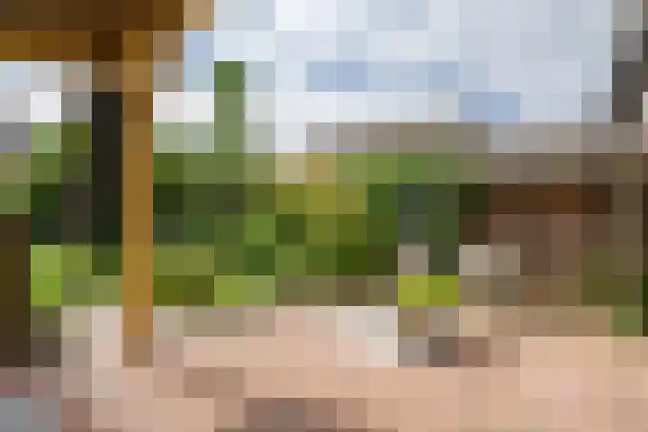 Melkweg 24 Oude-Tonge thumbnail 26