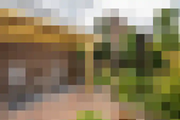 Melkweg 24 Oude-Tonge thumbnail 27