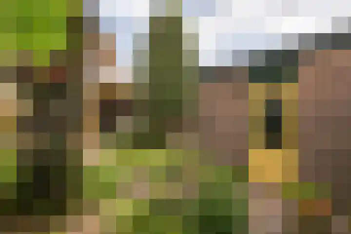 Melkweg 24 Oude-Tonge thumbnail 29