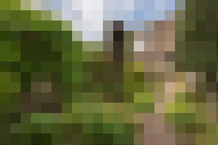 Melkweg 24 Oude-Tonge thumbnail 30