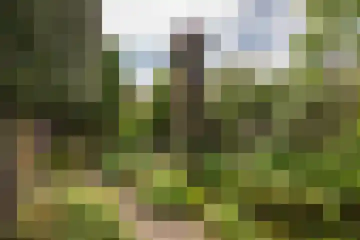 Melkweg 24 Oude-Tonge thumbnail 31