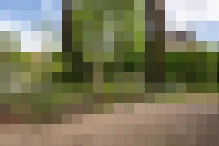 Melkweg 24 Oude-Tonge thumbnail 32