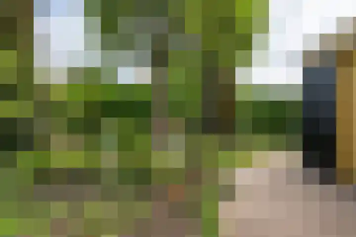 Melkweg 24 Oude-Tonge thumbnail 33