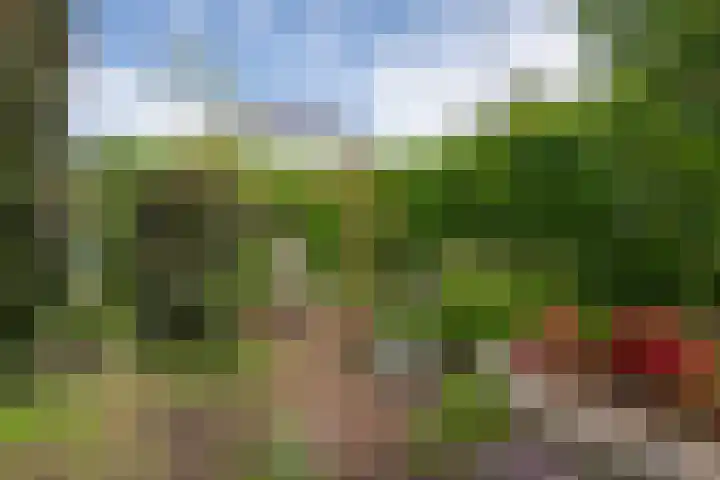Melkweg 24 Oude-Tonge thumbnail 34