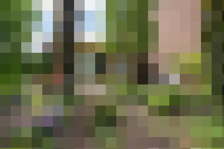 Melkweg 24 Oude-Tonge thumbnail 35