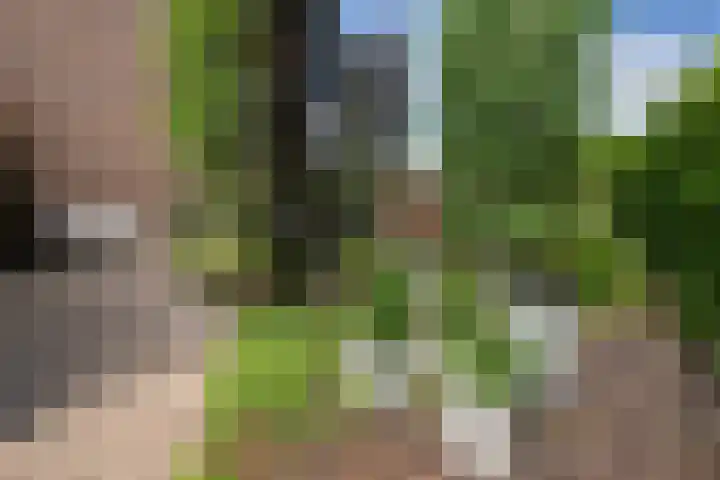 Melkweg 24 Oude-Tonge thumbnail 36
