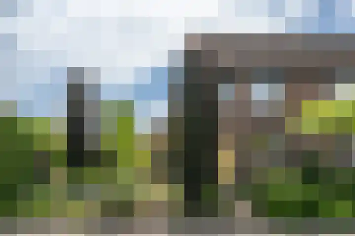 Melkweg 24 Oude-Tonge thumbnail 38