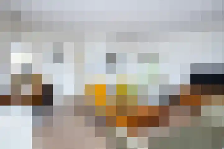 Melkweg 24 Oude-Tonge thumbnail 4