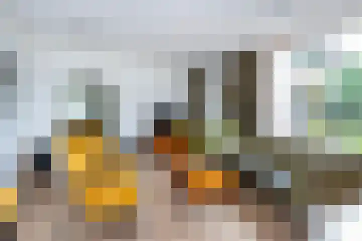 Melkweg 24 Oude-Tonge thumbnail 8