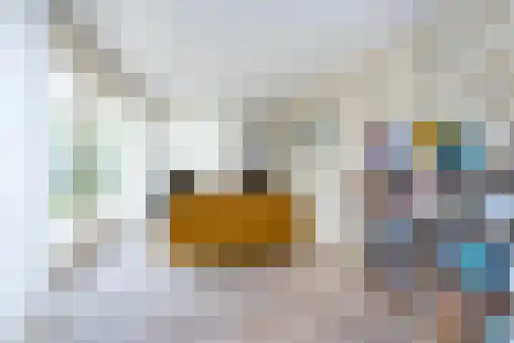 Melkweg 24 Oude-Tonge thumbnail 9