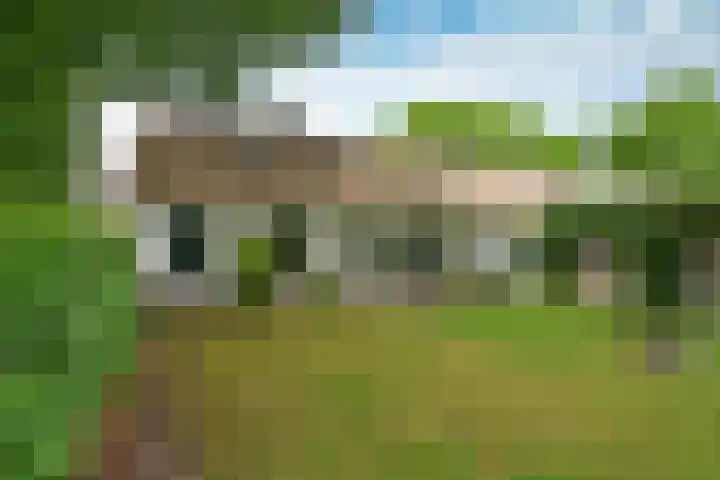 Melkweg 28 Laren thumbnail 12