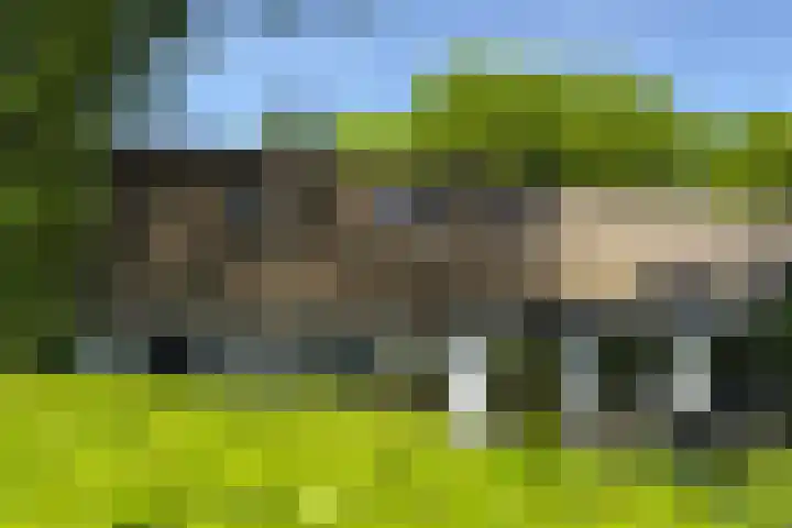 Melkweg 28 Laren thumbnail 8
