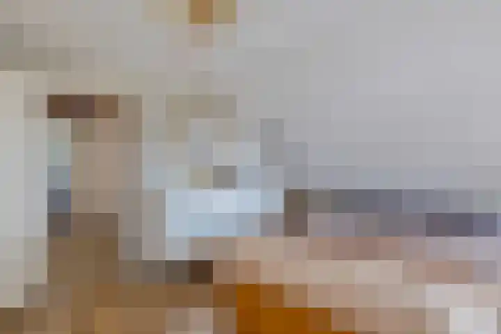 Melkweg 3 Klijndijk thumbnail 22