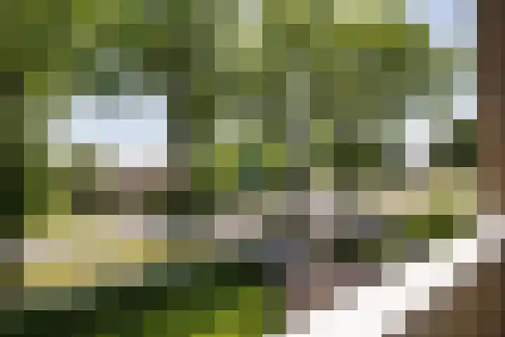 Melkweg 3 Klijndijk thumbnail 23