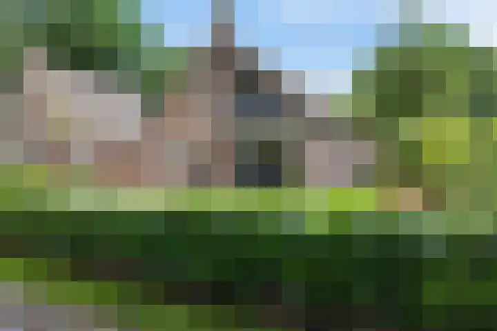 Melkweg 3 Klijndijk thumbnail 5