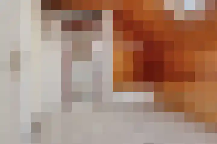 Melkweg 3 Spijk thumbnail 21