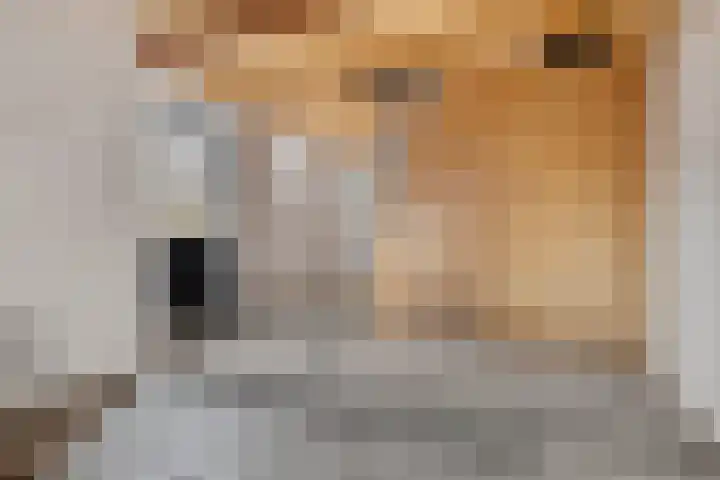 Melkweg 3 Spijk thumbnail 26