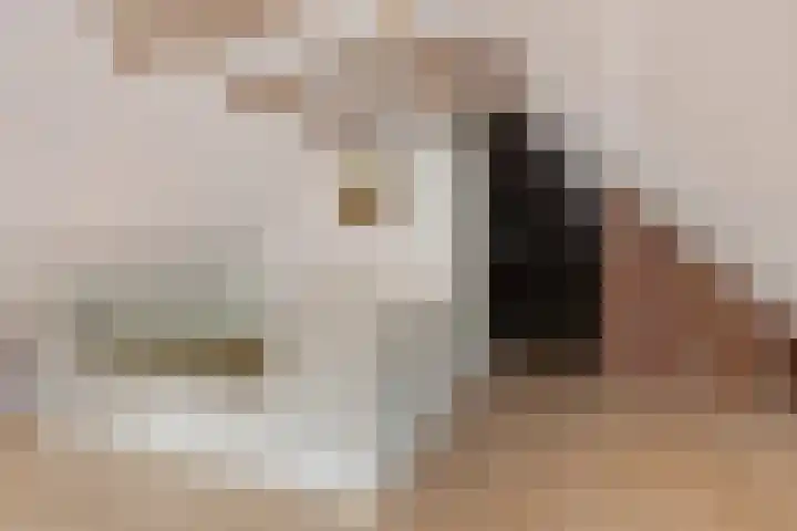 Melkweg 3 Spijk thumbnail 33