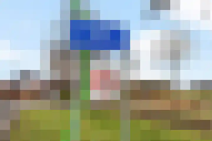 Melkweg 3 Spijk thumbnail 43