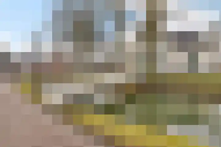 Melkweg 3 Spijk thumbnail 44