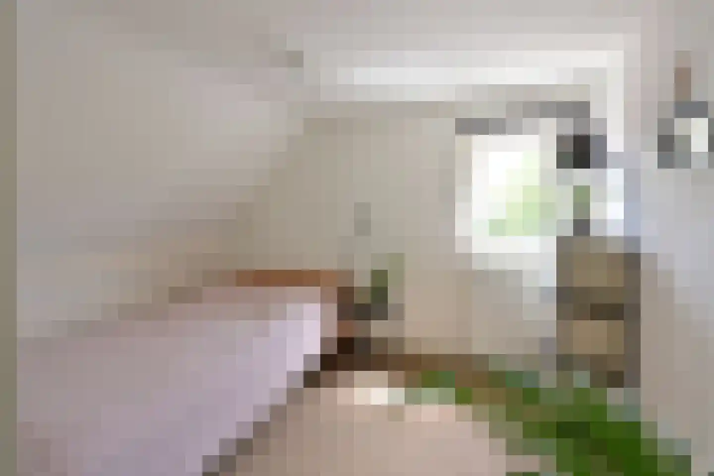 Melkweg 31 Huizen thumbnail 12