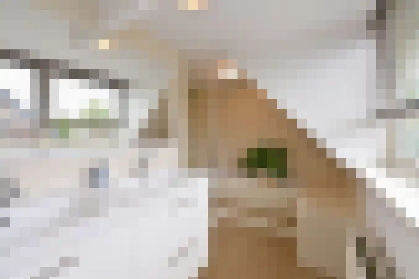 Melkweg 31 Huizen thumbnail 15