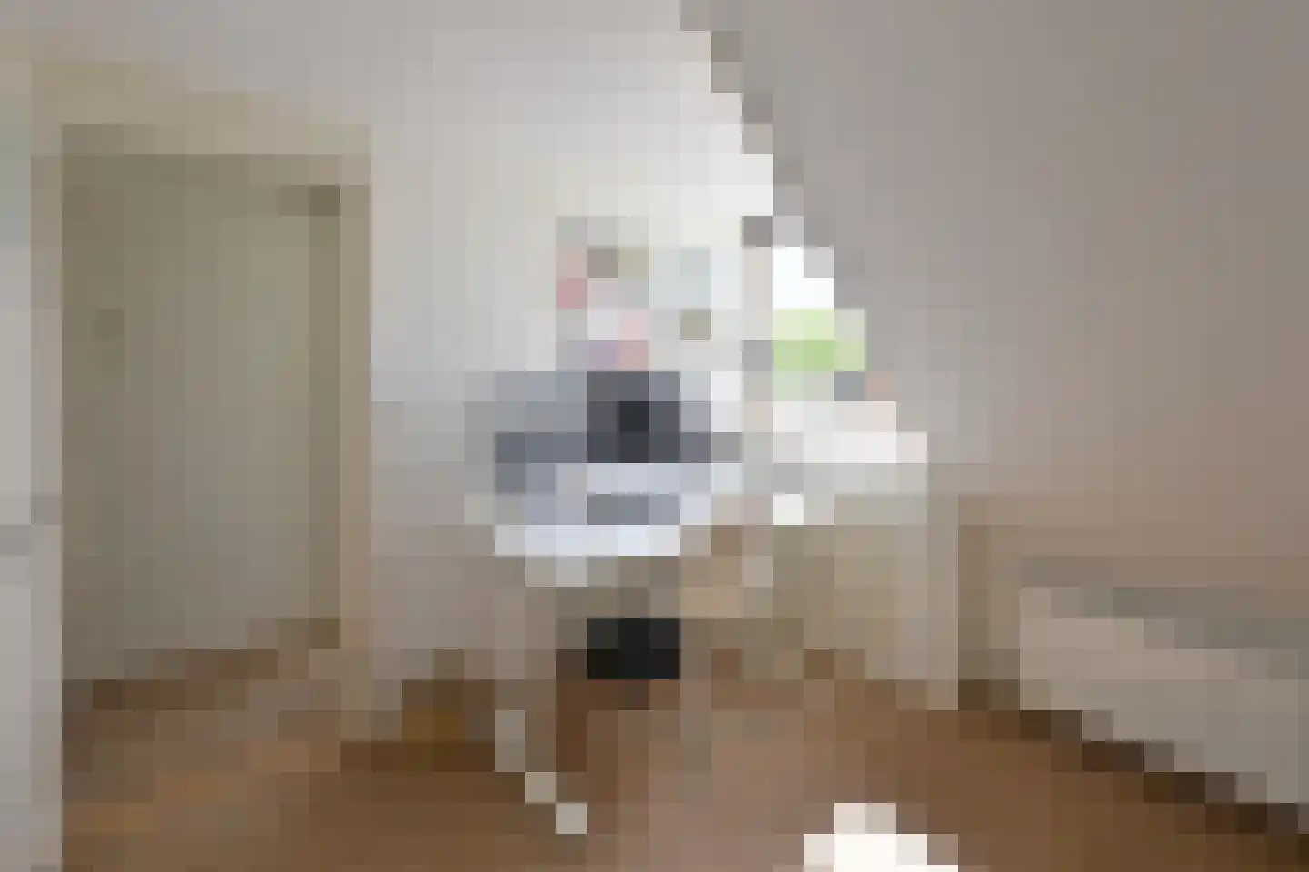 Melkweg 31 Huizen thumbnail 16