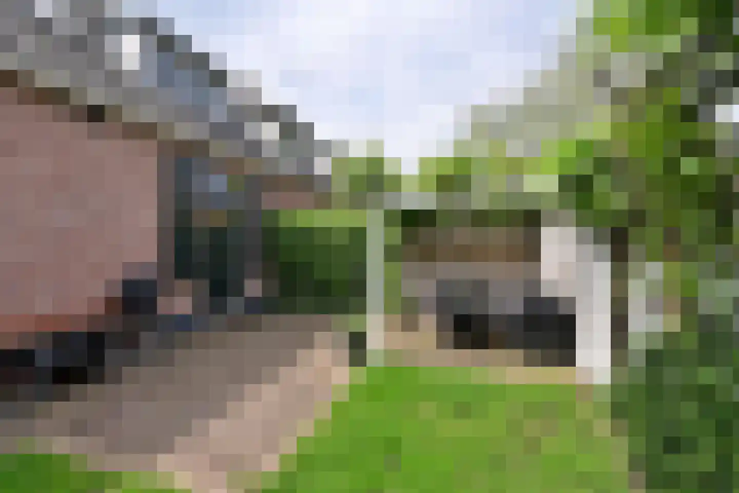 Melkweg 31 Huizen thumbnail 17