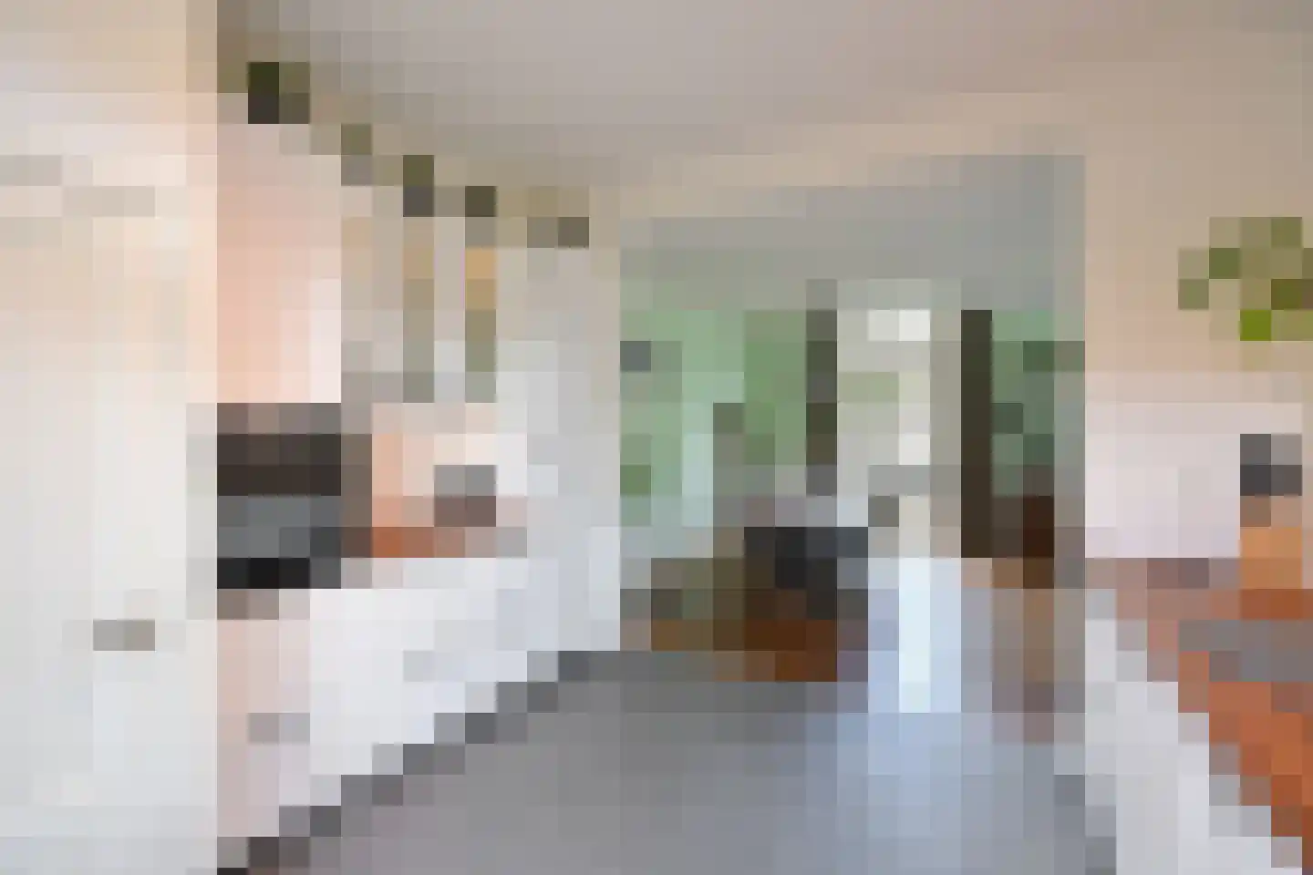 Melkweg 31 Huizen thumbnail 9