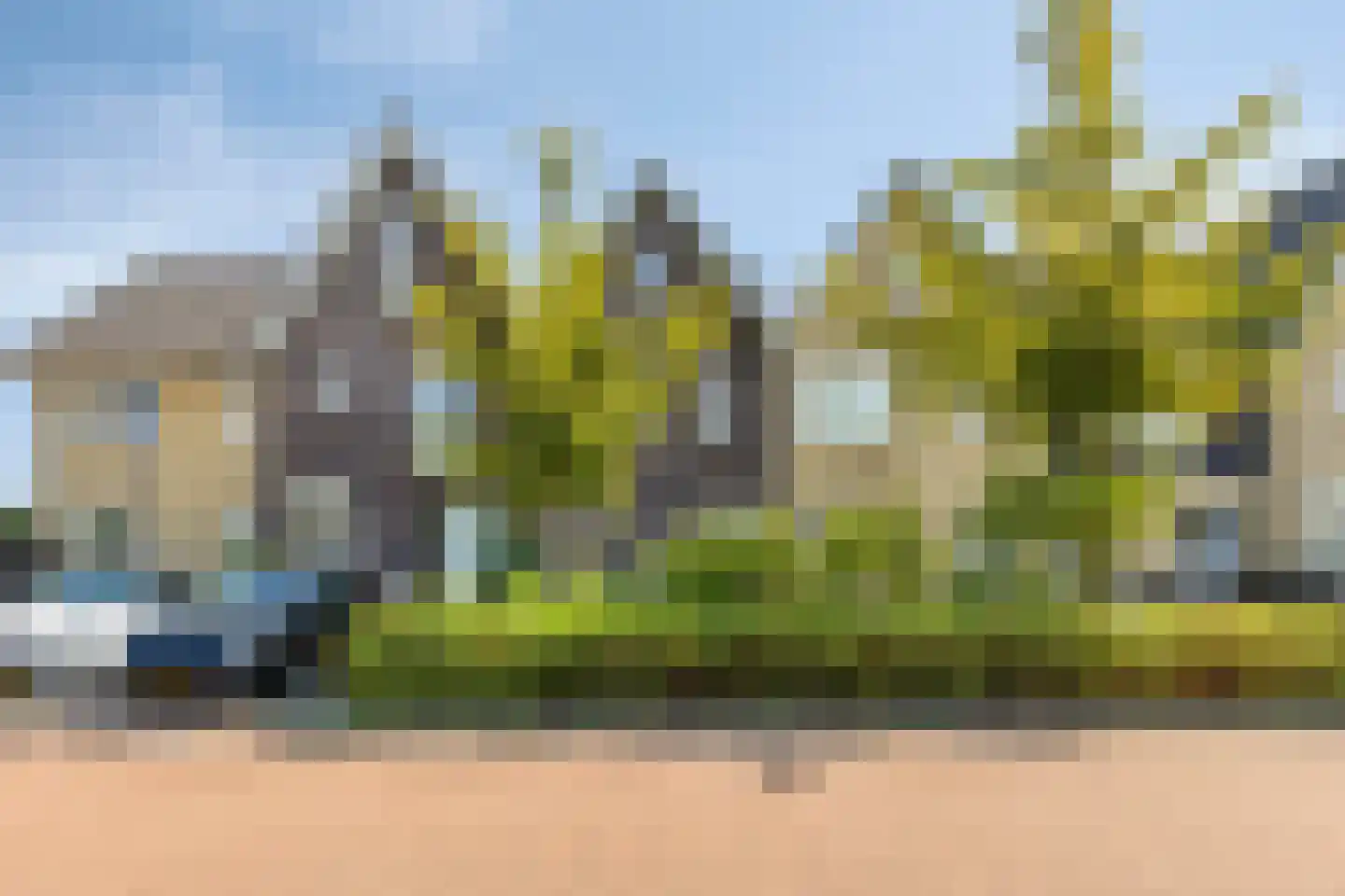 Melkweg 32 Zuidland thumbnail 4