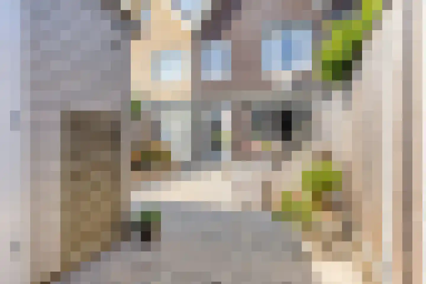 Melkweg 32 Zuidland thumbnail 44