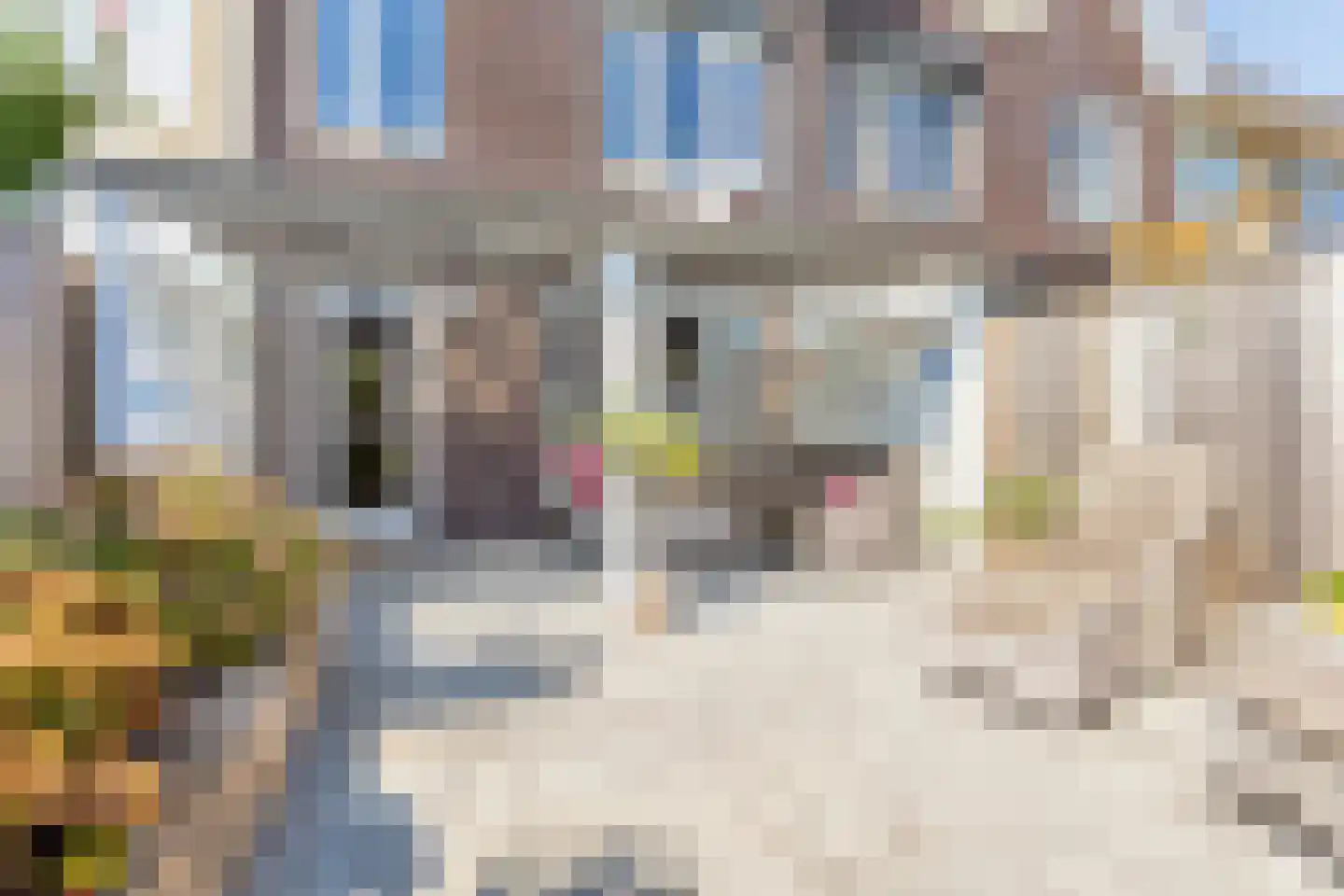 Melkweg 32 Zuidland thumbnail 47