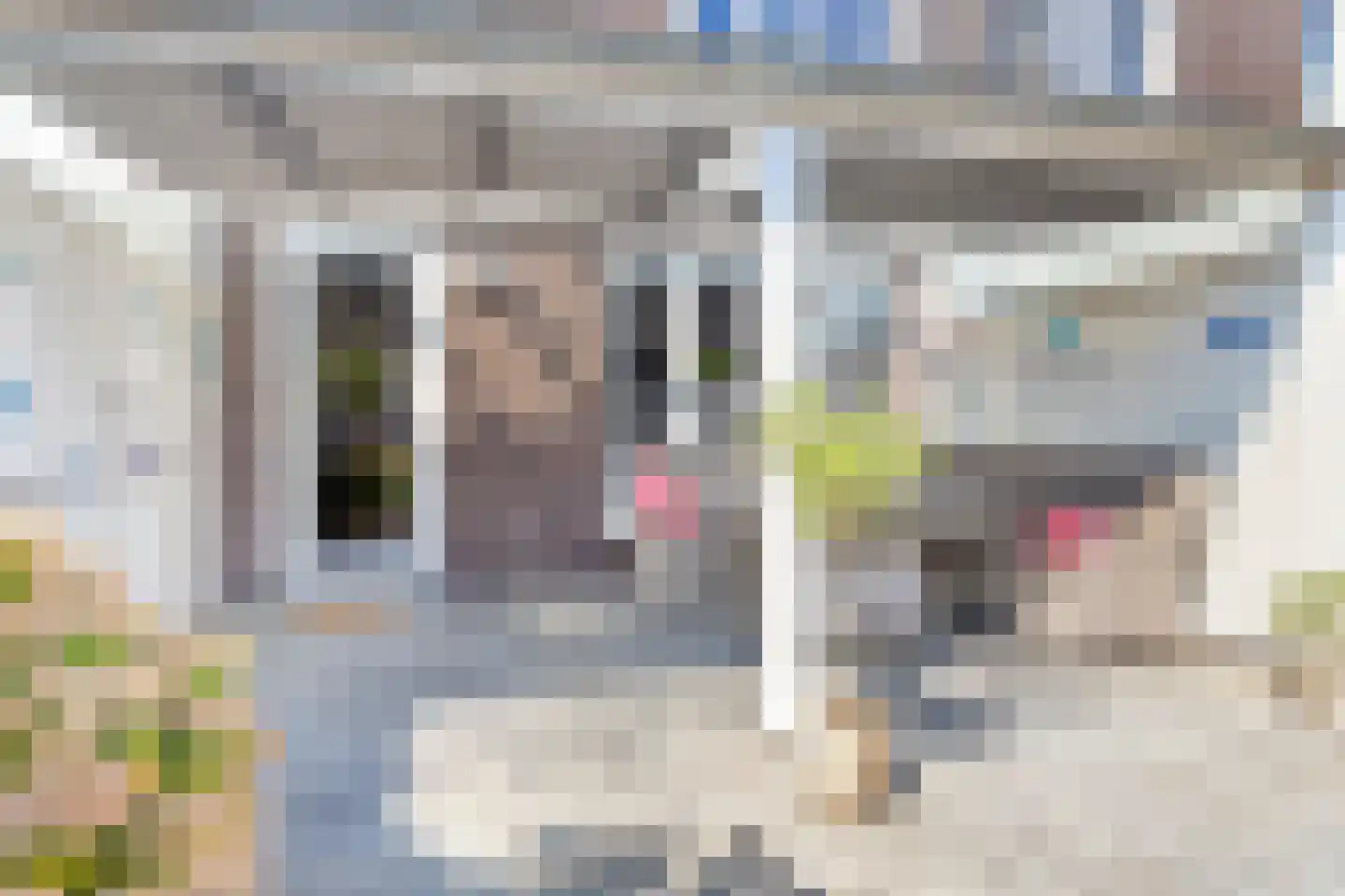 Melkweg 32 Zuidland thumbnail 48