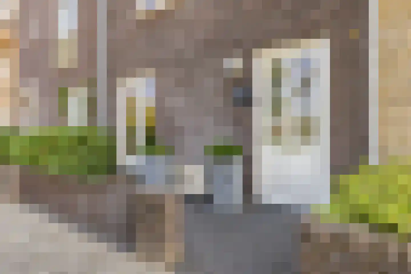 Melkweg 32 Zuidland thumbnail 7