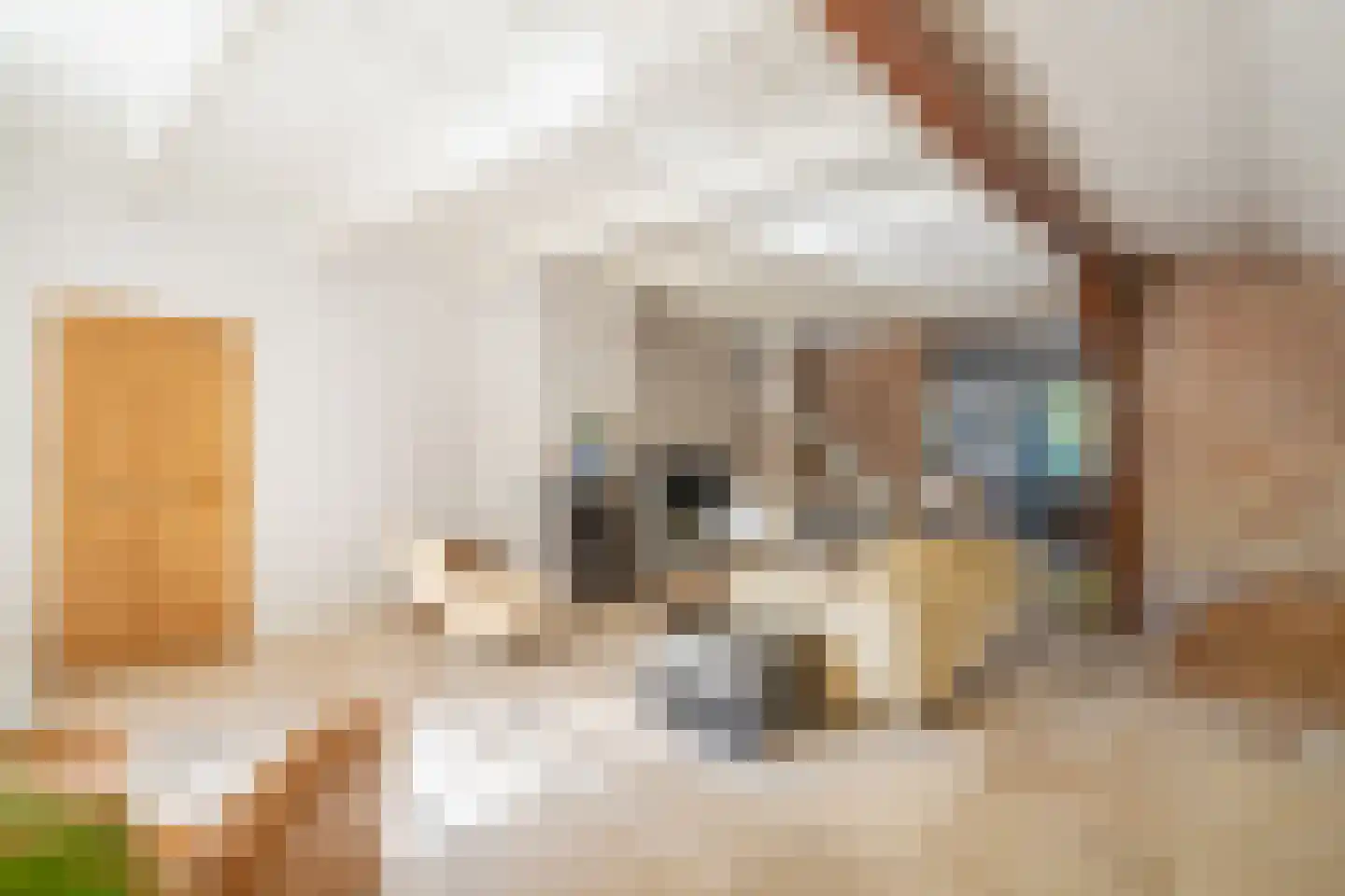 Melkweg 33 Huizen thumbnail 12