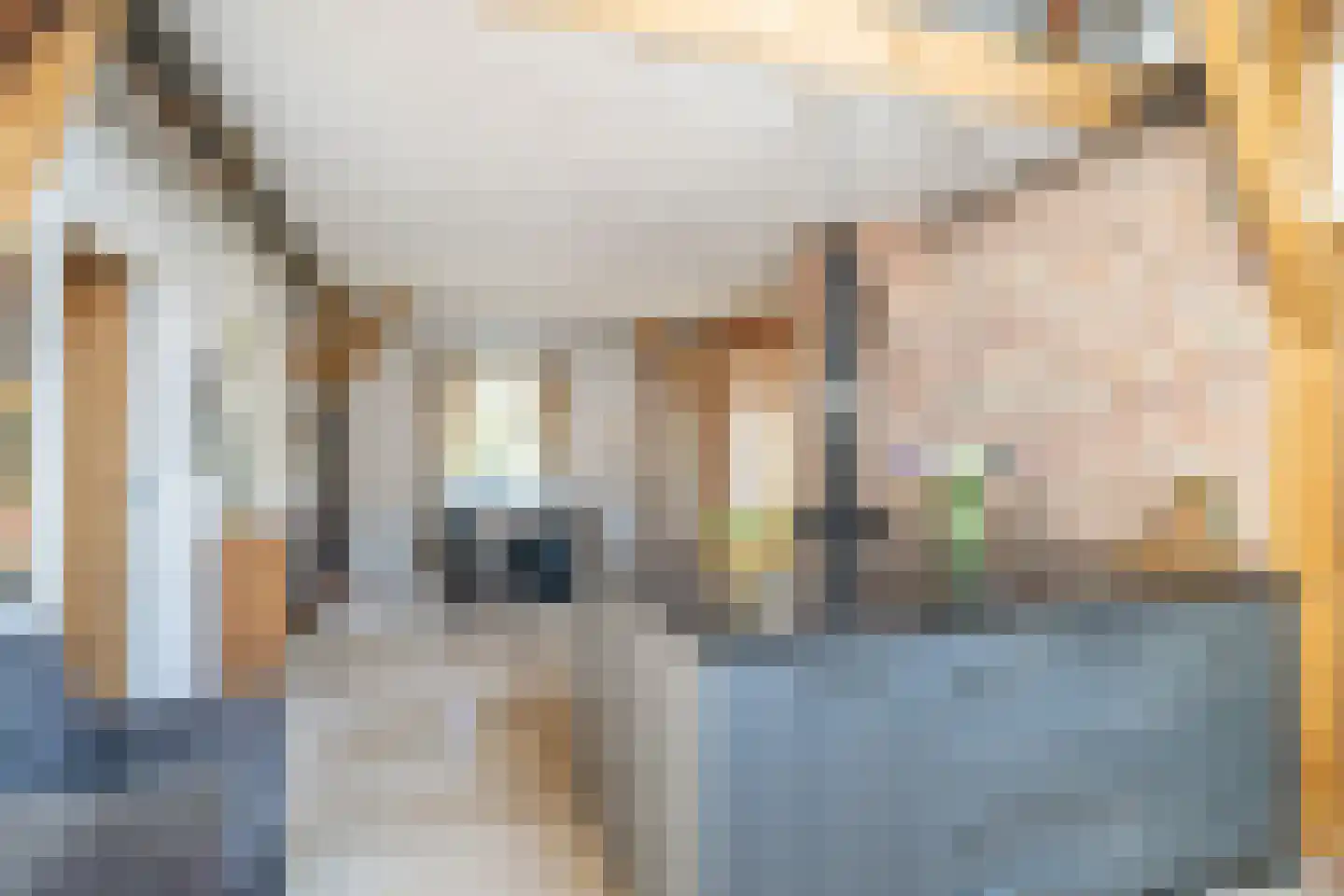 Melkweg 33 Huizen thumbnail 22