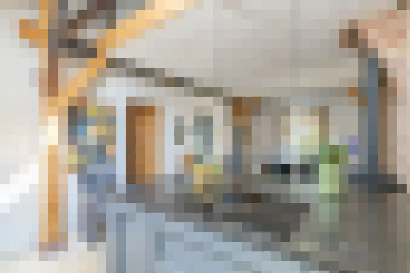 Melkweg 33 Huizen thumbnail 23