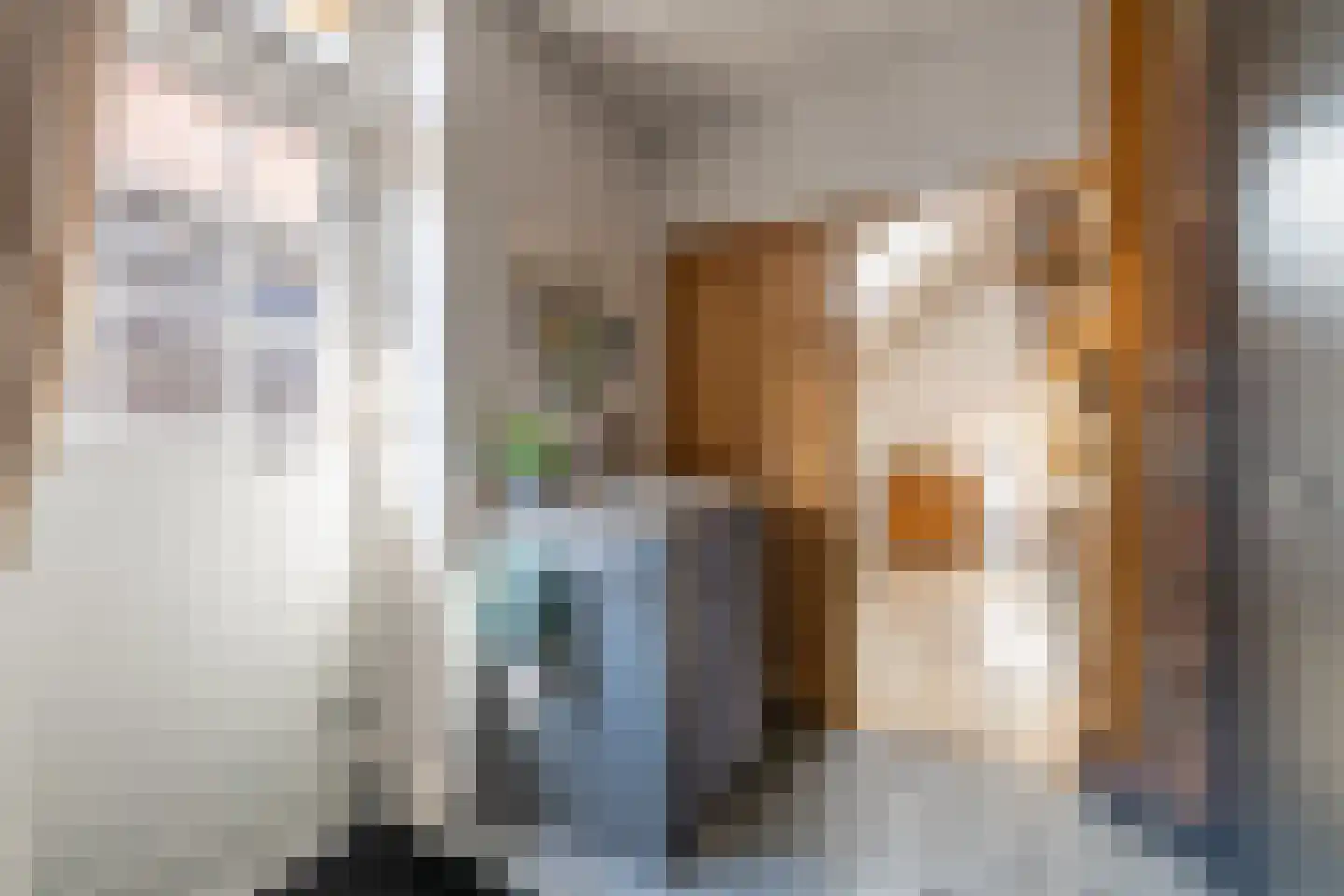 Melkweg 33 Huizen thumbnail 32