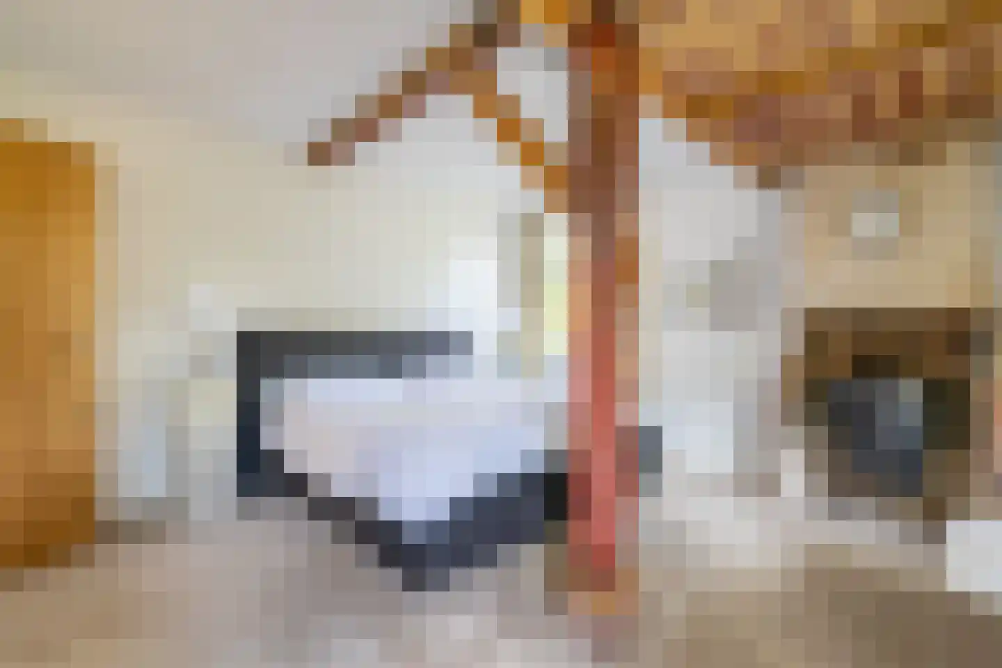 Melkweg 33 Huizen thumbnail 34
