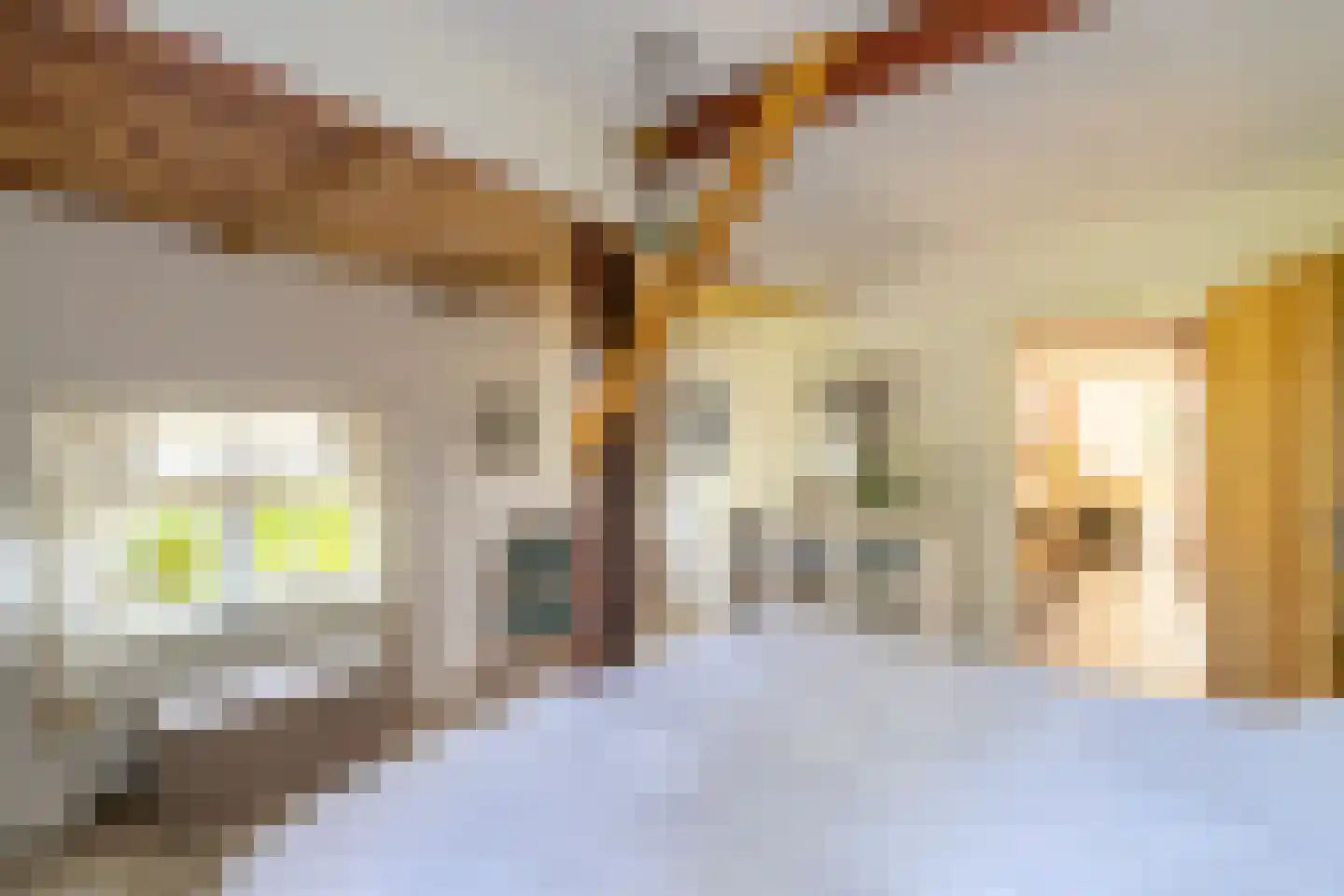 Melkweg 33 Huizen thumbnail 36