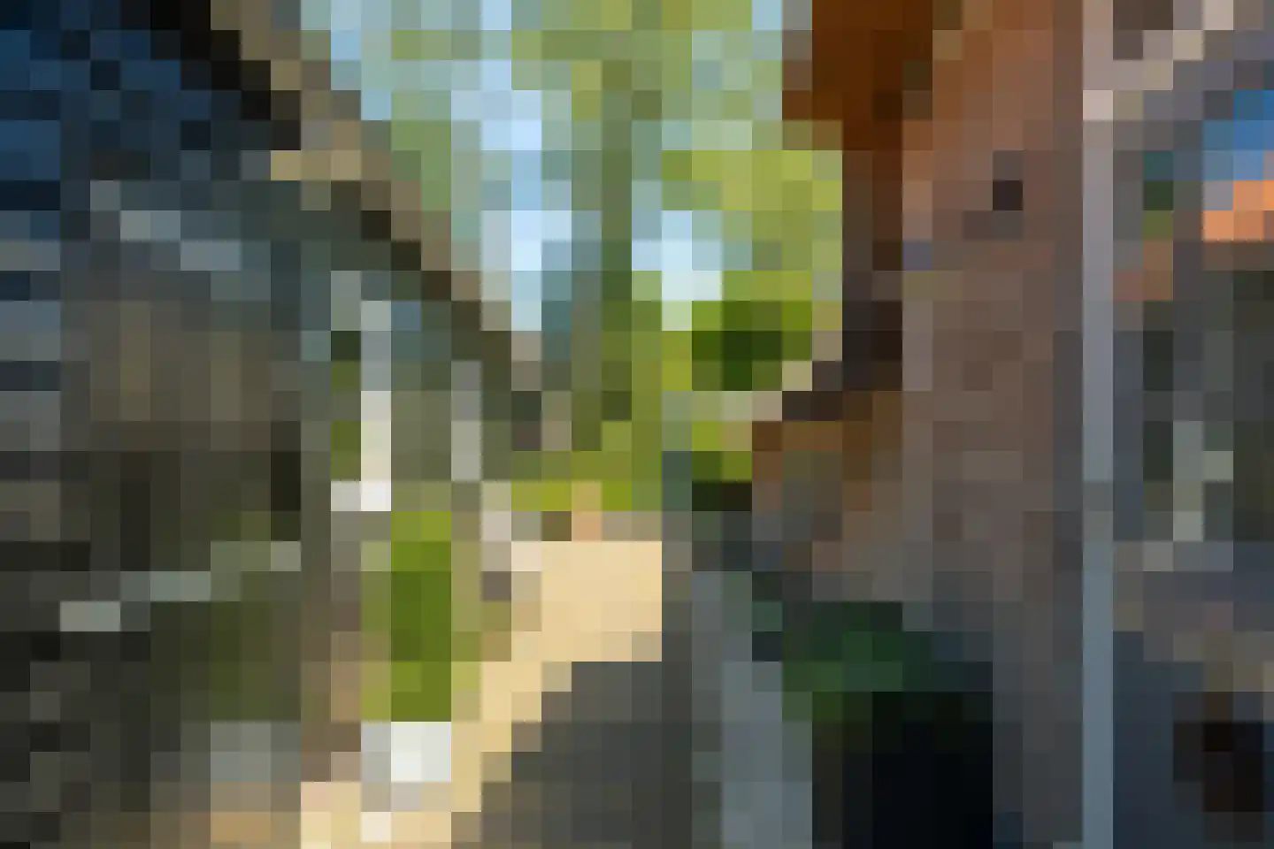 Melkweg 33 Huizen thumbnail 41