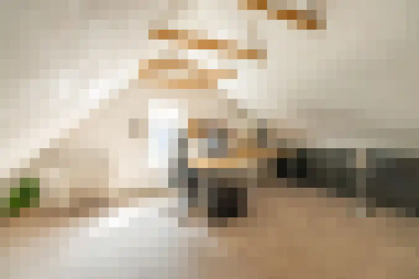 Melkweg 33 Huizen thumbnail 45