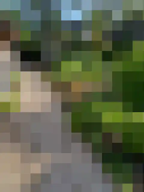 Melkweg 33 Huizen thumbnail 58
